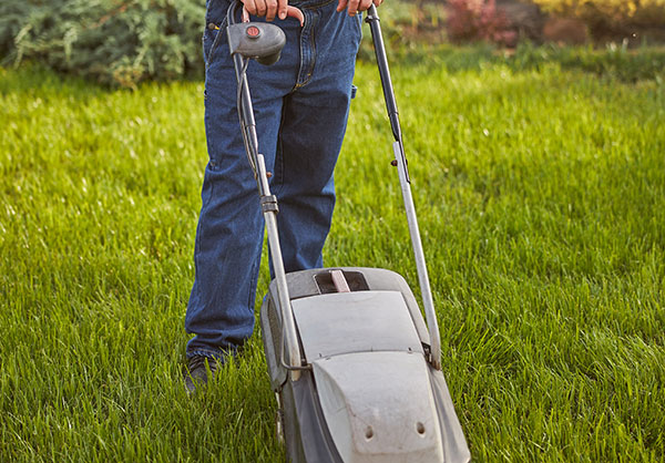 Gardening services image